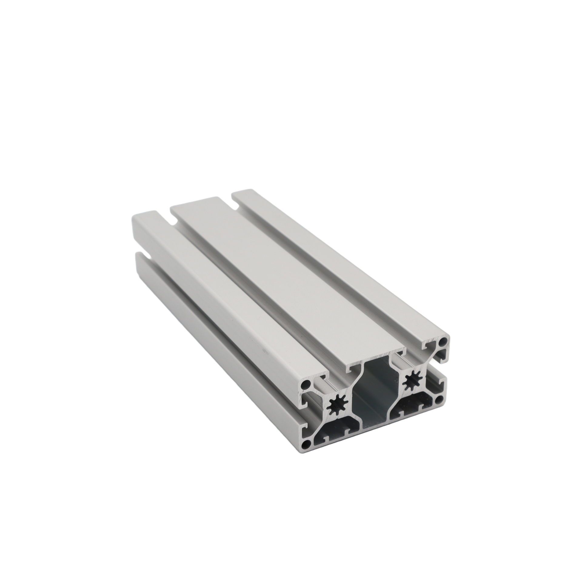 Alu profile 40 x 80L - 2N