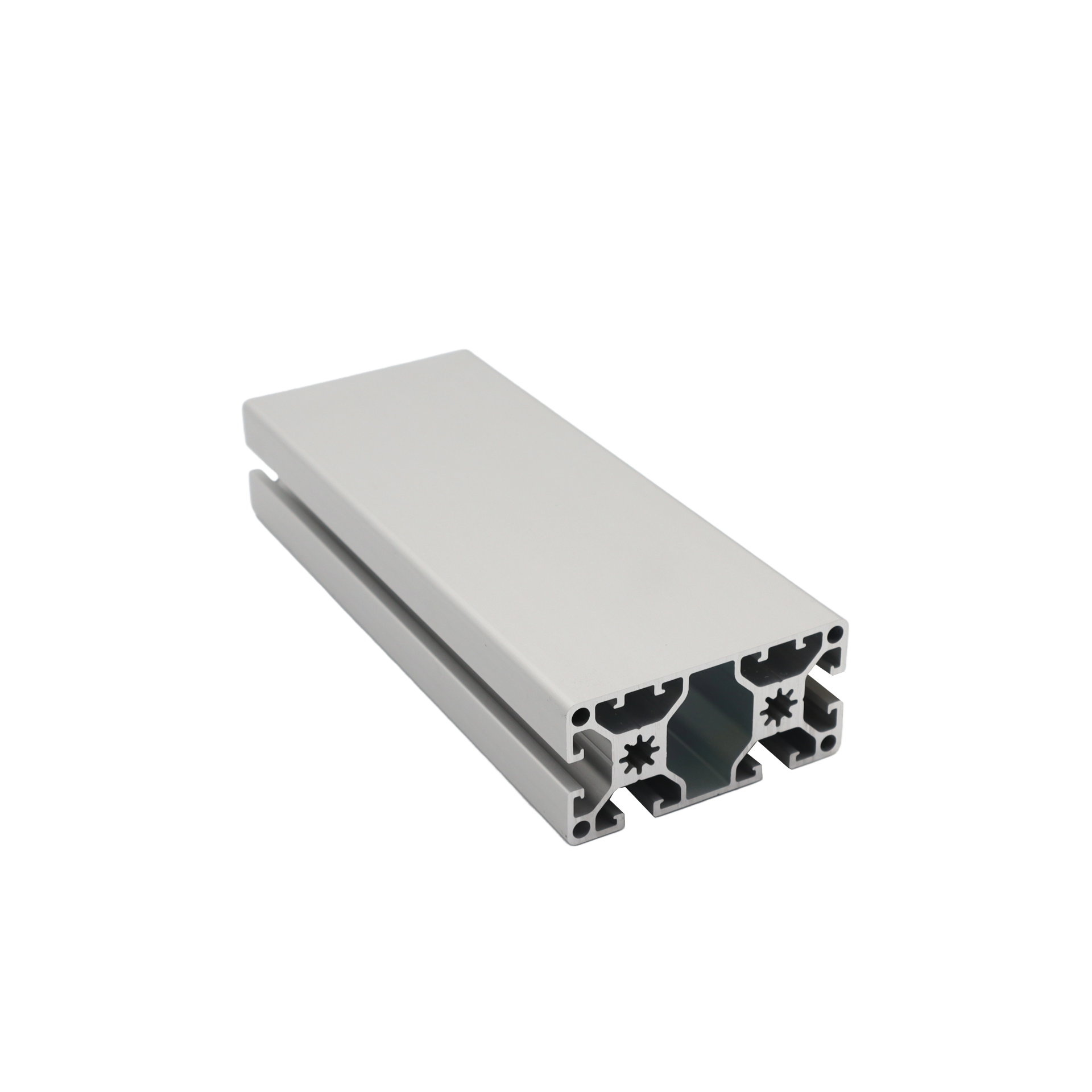 Alu profile 40 x 80L - 2N
